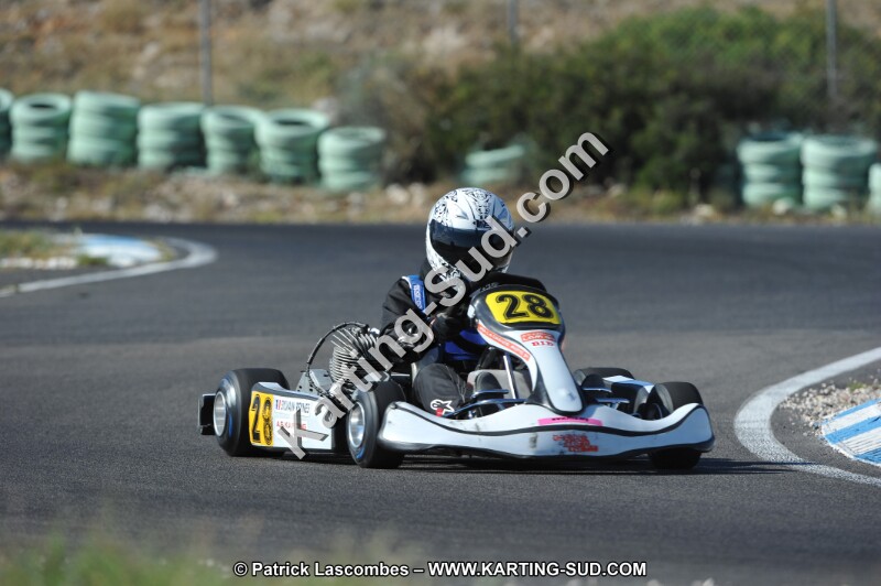 DSC (1217).JPG